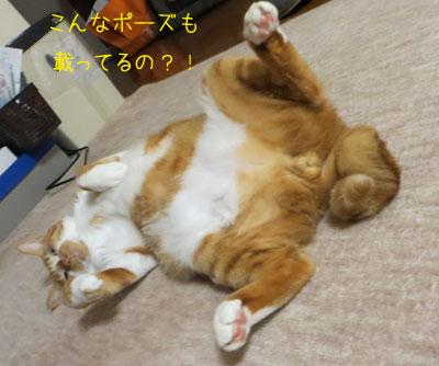 これもストレッチだよ~