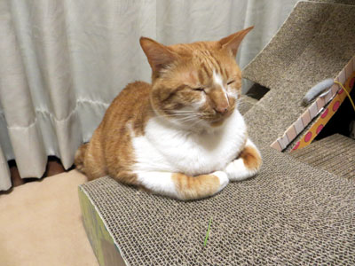 勉強机っぽい