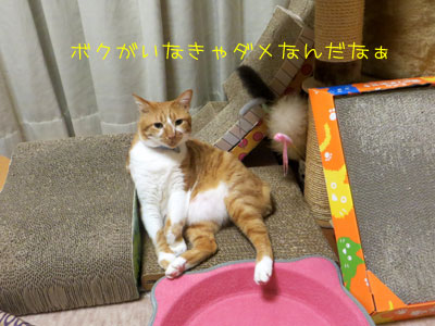 ボクのおかげだね