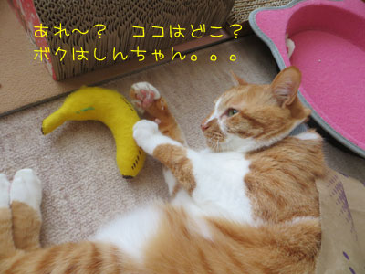 覚醒