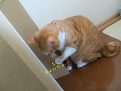 開け~