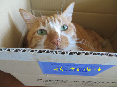 やたー♪