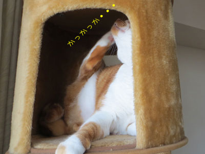 一瞬だった。。。