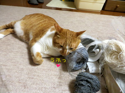 糸らぶ