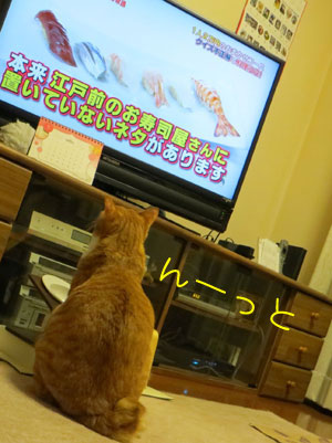 真剣っ