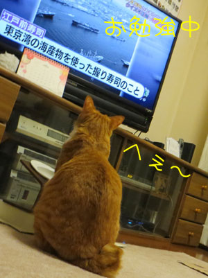 おべんきょ