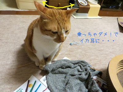 ダメよと言われても