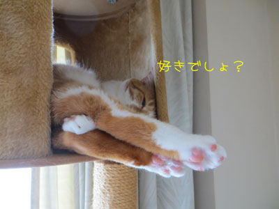 どう?