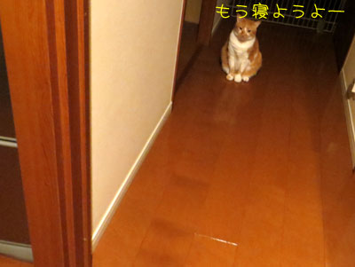 寝よー!