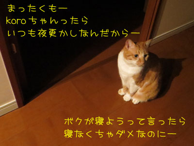 寝よったら寝よーーー!
