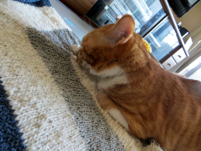 れっろ~ん