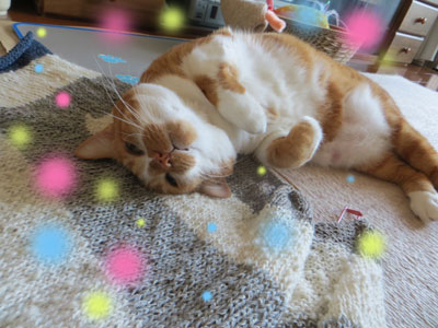 うっとり~