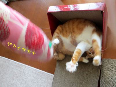 獲ったるでー