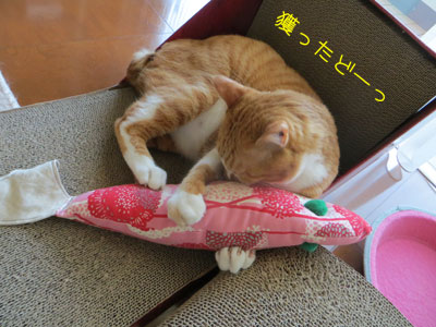 獲ったどー