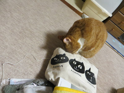 もっと見る