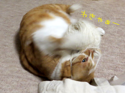 取っちゃう