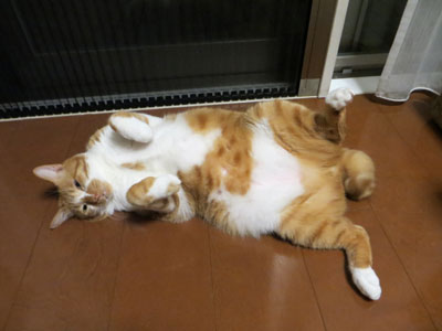 あぢぃ~