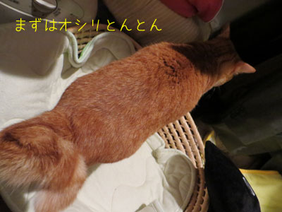 ランチタイム1