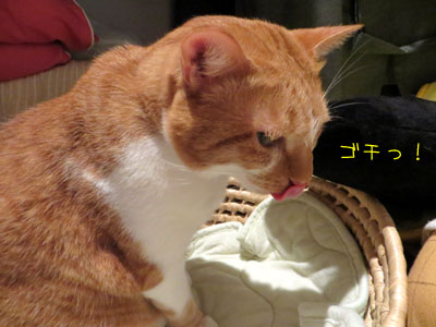 ランチタイム3