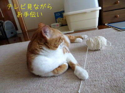 お手伝い