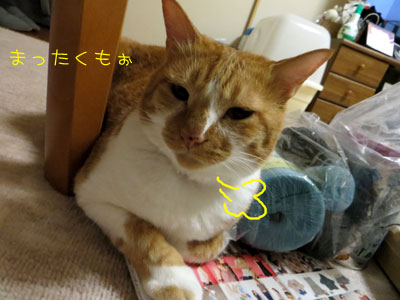 ぶつぶつ。。。