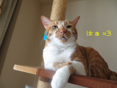 エアコンON!