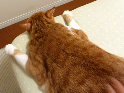 隅っこらぶ♪