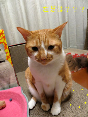 むすっ