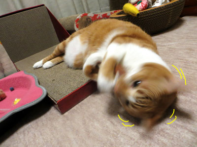 ちぃたけに夢中