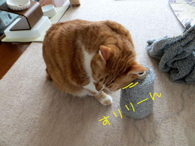 ボクのおもちゃ♪