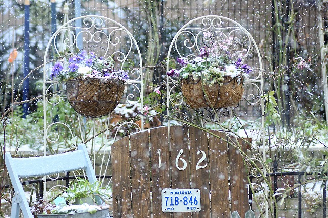 IMG_8432雪です