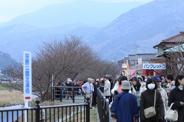 IMG_9363河津桜祭り