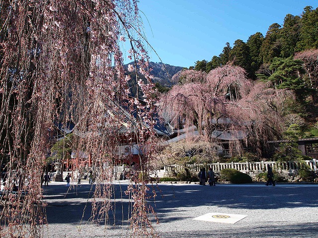 059身延山