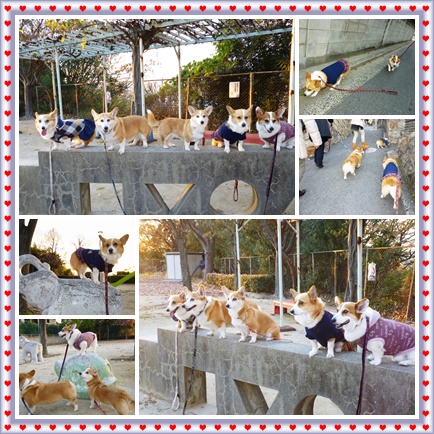 お山の公園1