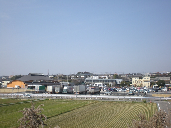 DSCN1566_R.jpg