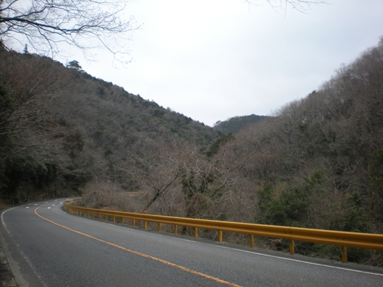 DSCN1833_R.jpg