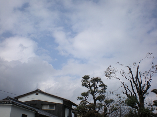 DSCN1865_R.jpg