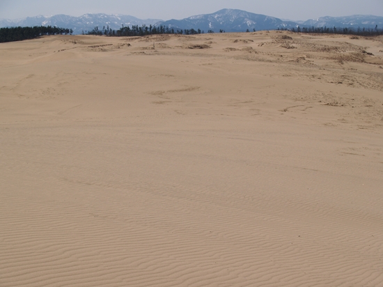 P3161512_R.jpg