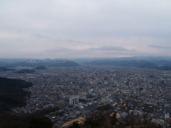 P3161557_R.jpg