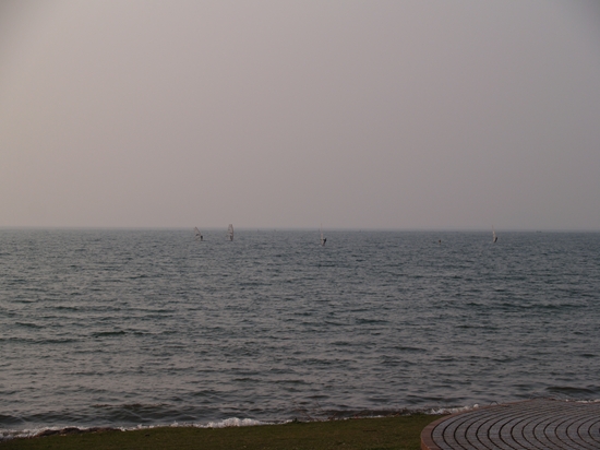 P4241718_R.jpg