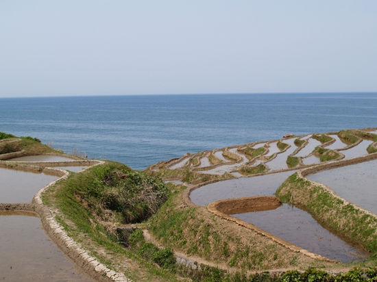 P4291801_R.jpg