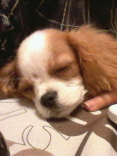 201202132040000.jpg