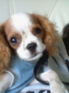 201203041133000.jpg