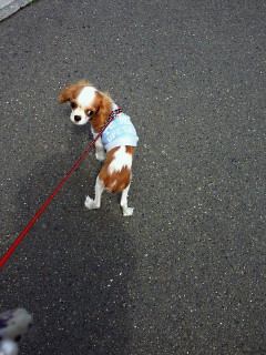 201203251158000.jpg