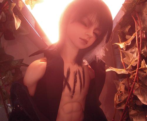 HYDOLL 眠ルカ1