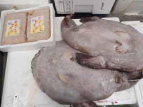 5鮮魚セット131