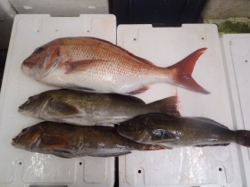 8鮮魚セット2014930