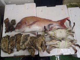 9鮮魚セット2014930