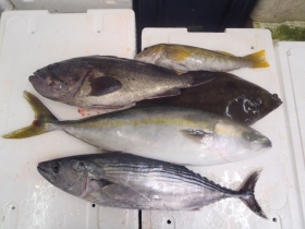 12鮮魚セット2014930