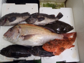 14鮮魚セット2014930